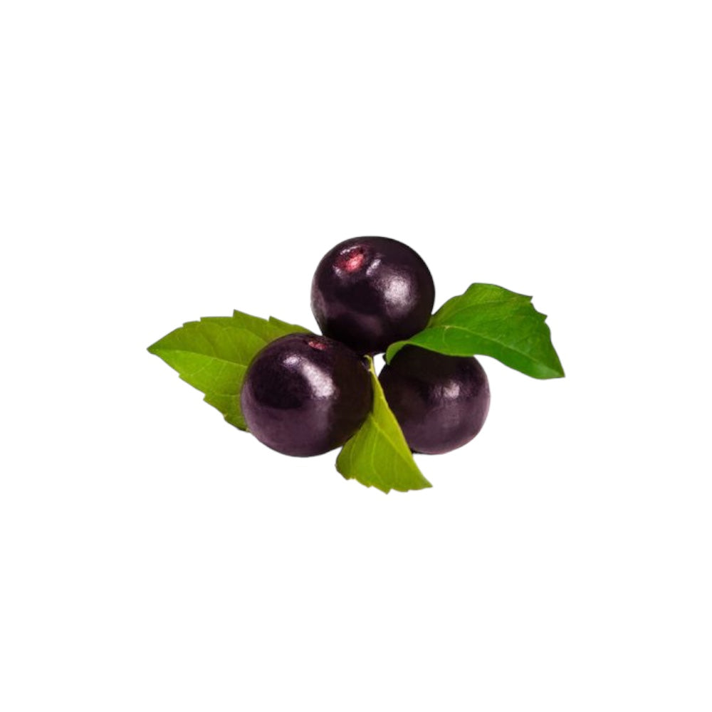 Açaí Essential Oil Ready-to-Label 12 bottles