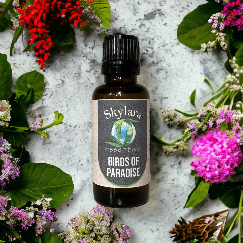 Birds of Paradise Essential Oil Blend