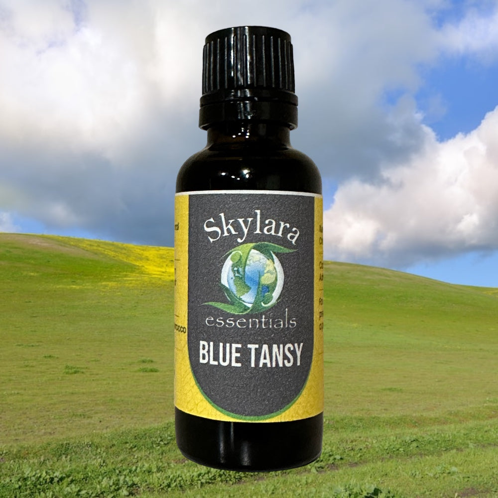 Blue Tansy Essential Oil