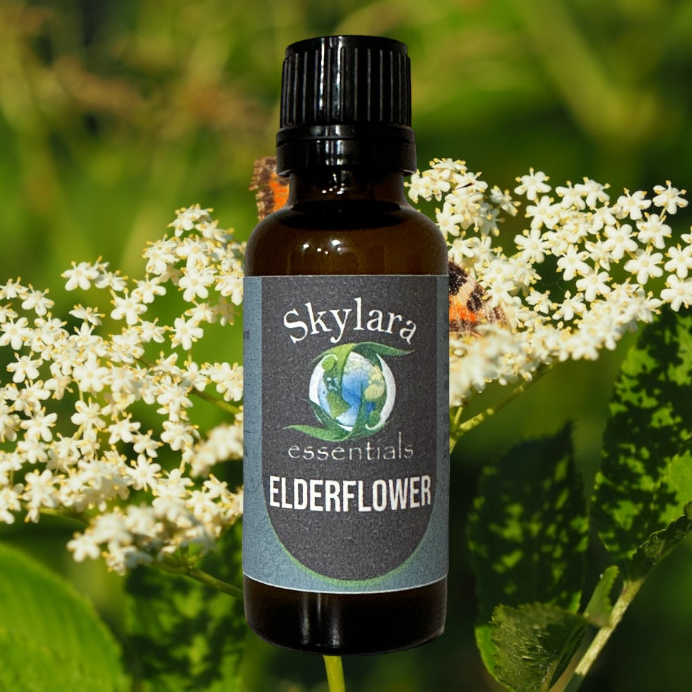 Elderflower Essential Oil