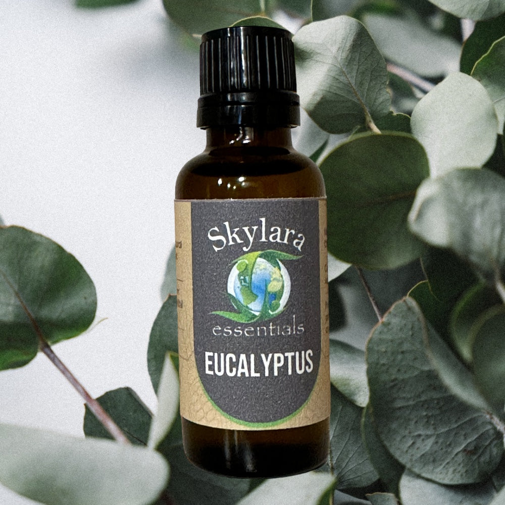 Eucalyptus Essential Oil