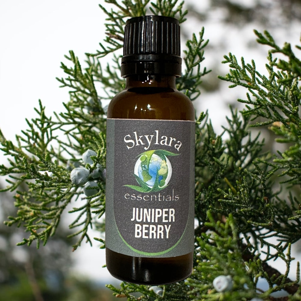 Juniper Berry Essential Oil