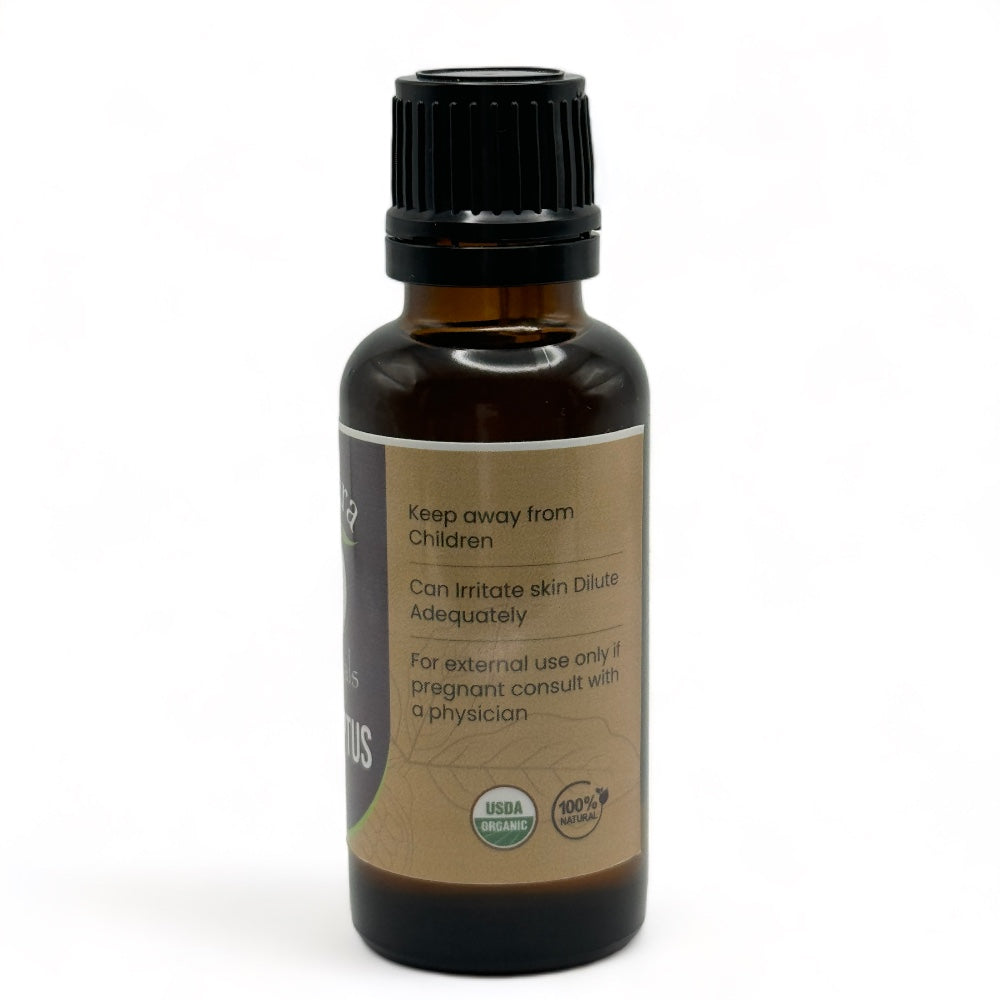 Eucalyptus Essential Oil