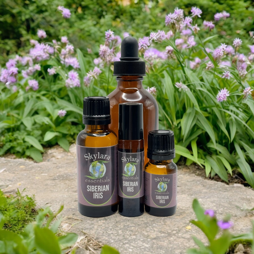 Siberian Iris Essential Oil
