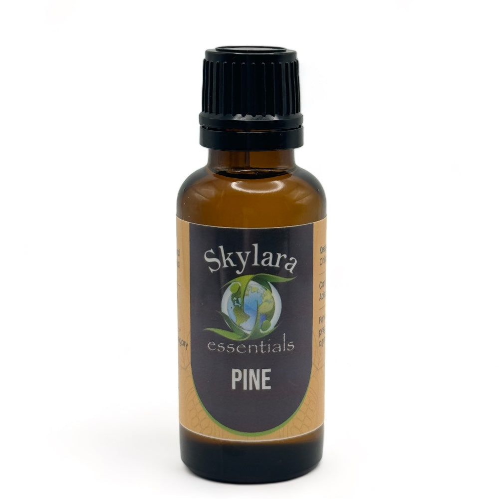 Pine Scots Essential Oil