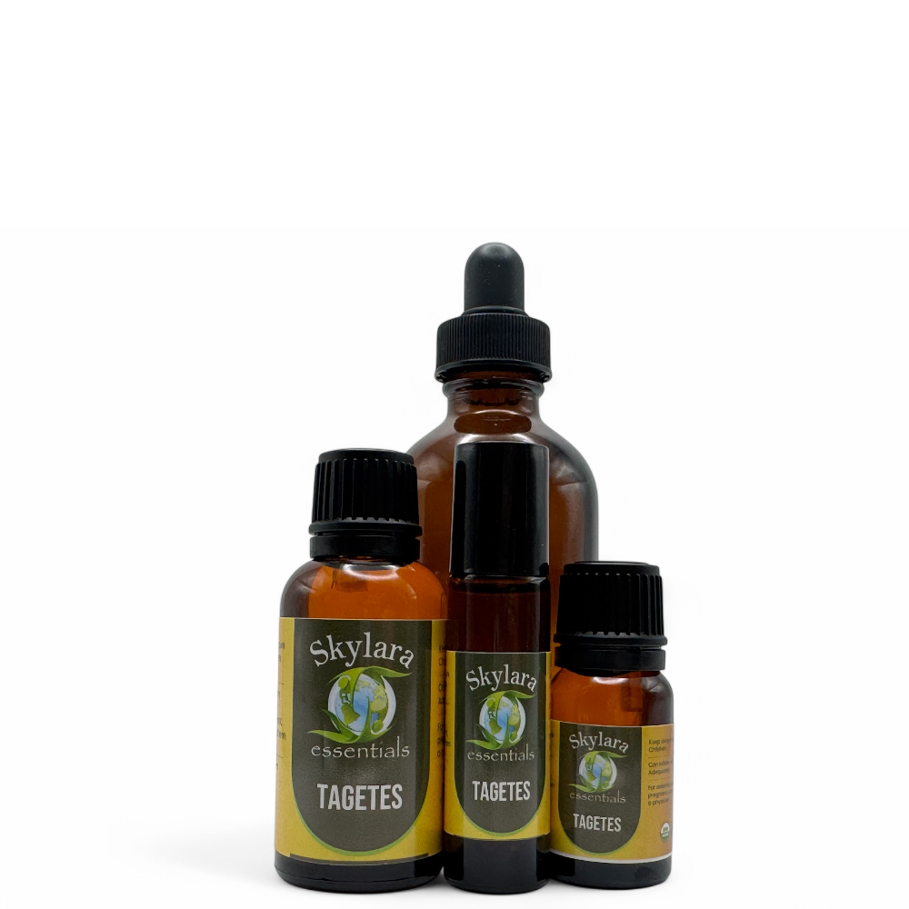 Tagetes Marigold Essential Oil