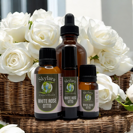 White Rose Otto Essential Oil