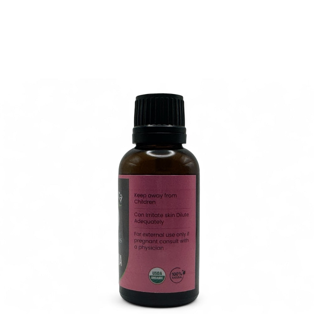 Zedoaria Essential Oil