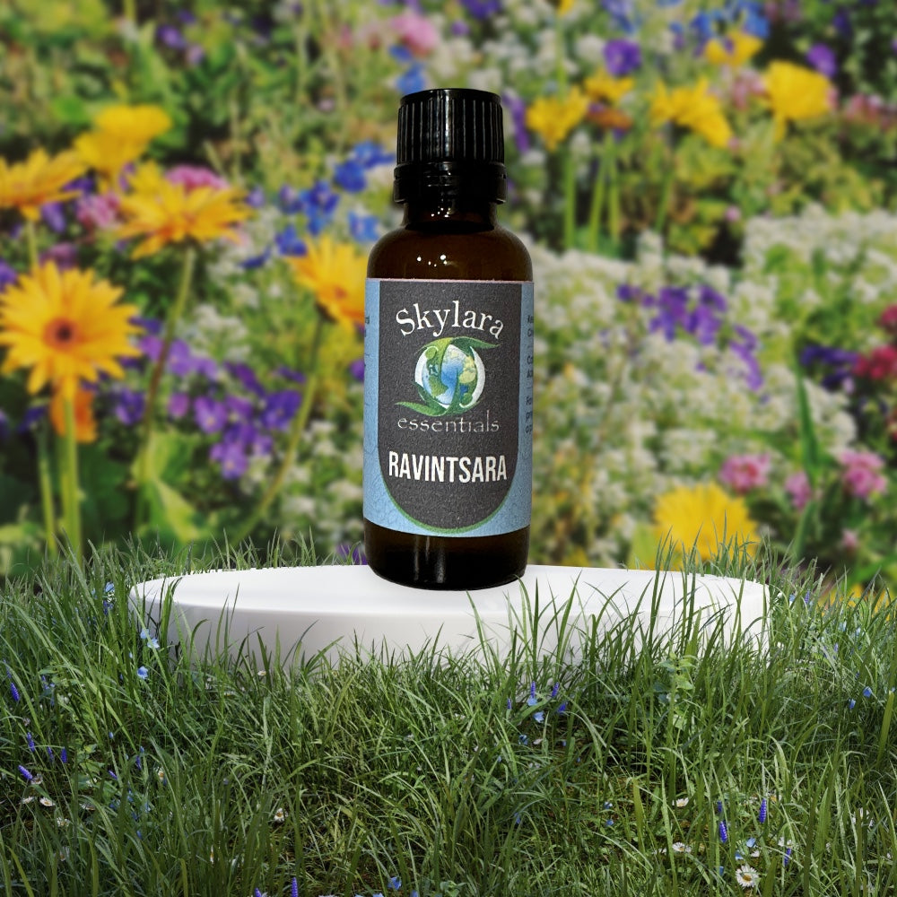 Ravintsara Essential Oil