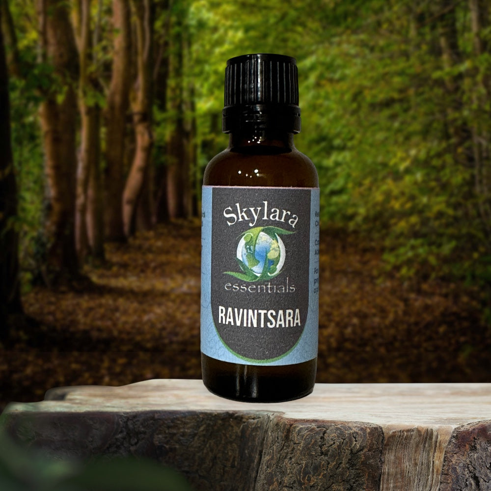 Ravintsara Essential Oil