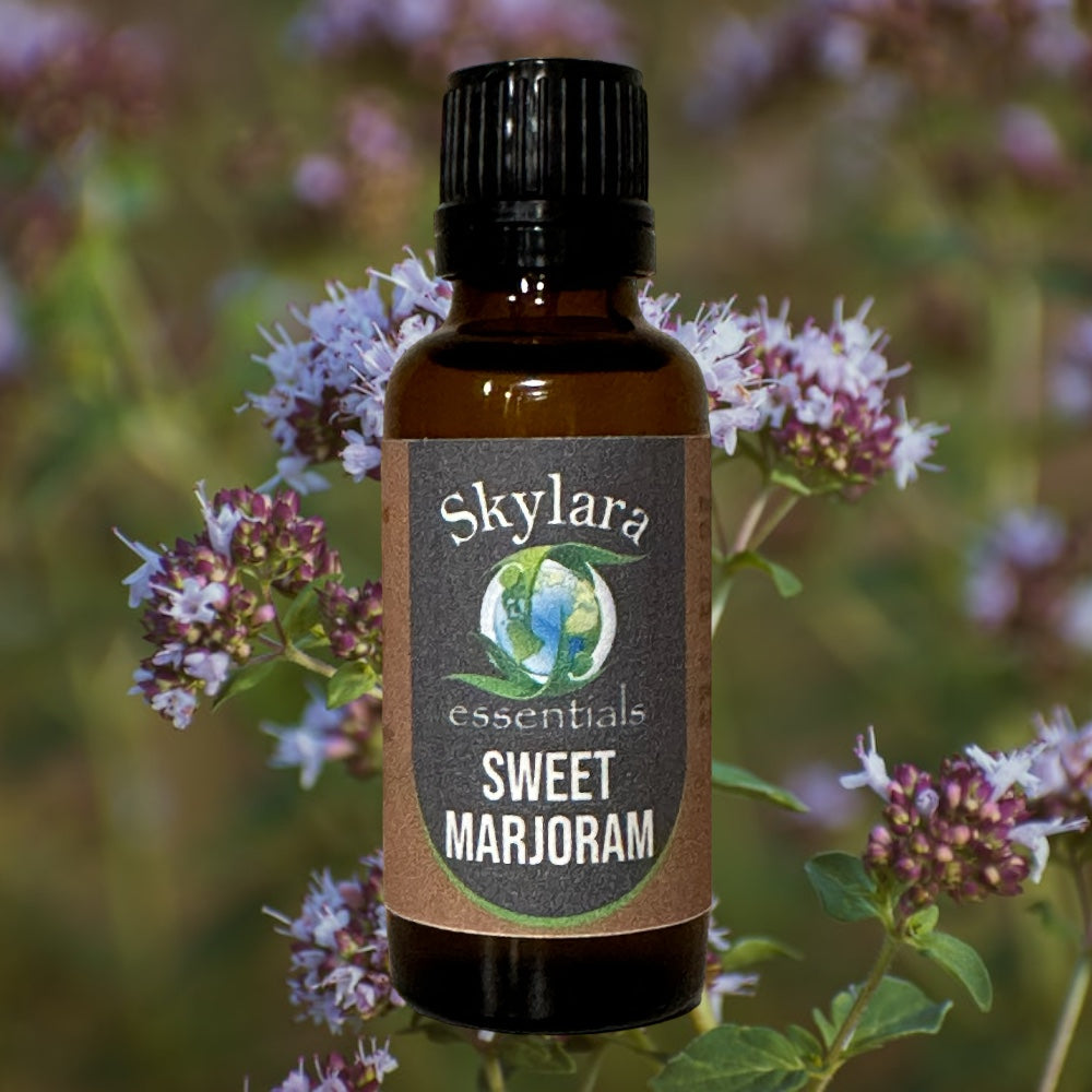Sweet Marjoram Essential Oil