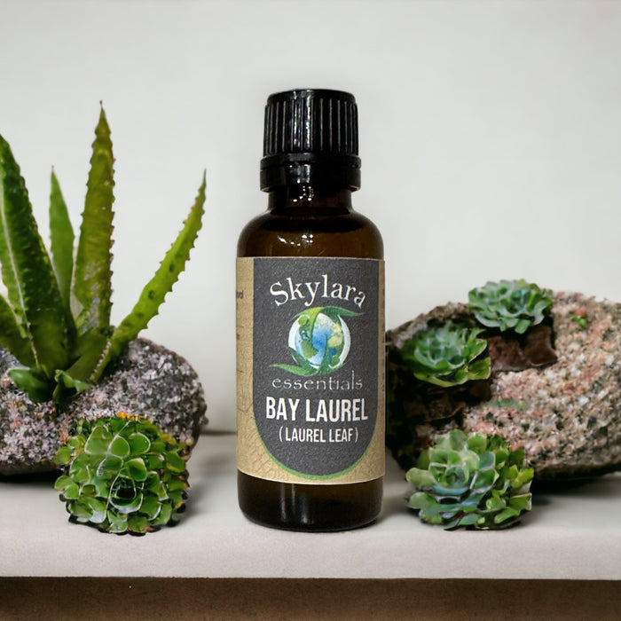 100% Pure Bay Laurel (Laurel Leaf)  Essential Oil - Free Shipping