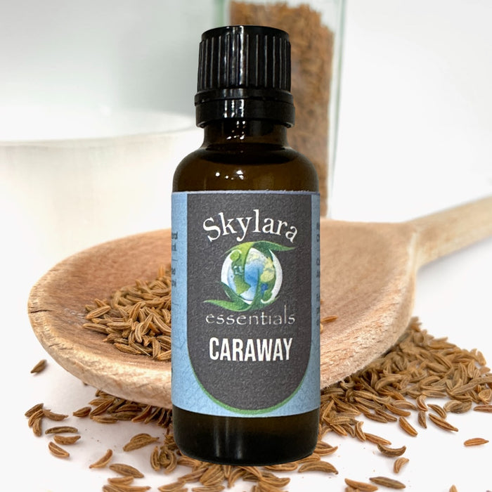 Pure and Natural Caraway Essential Oil - 100% Pure and Therapeutic Grade