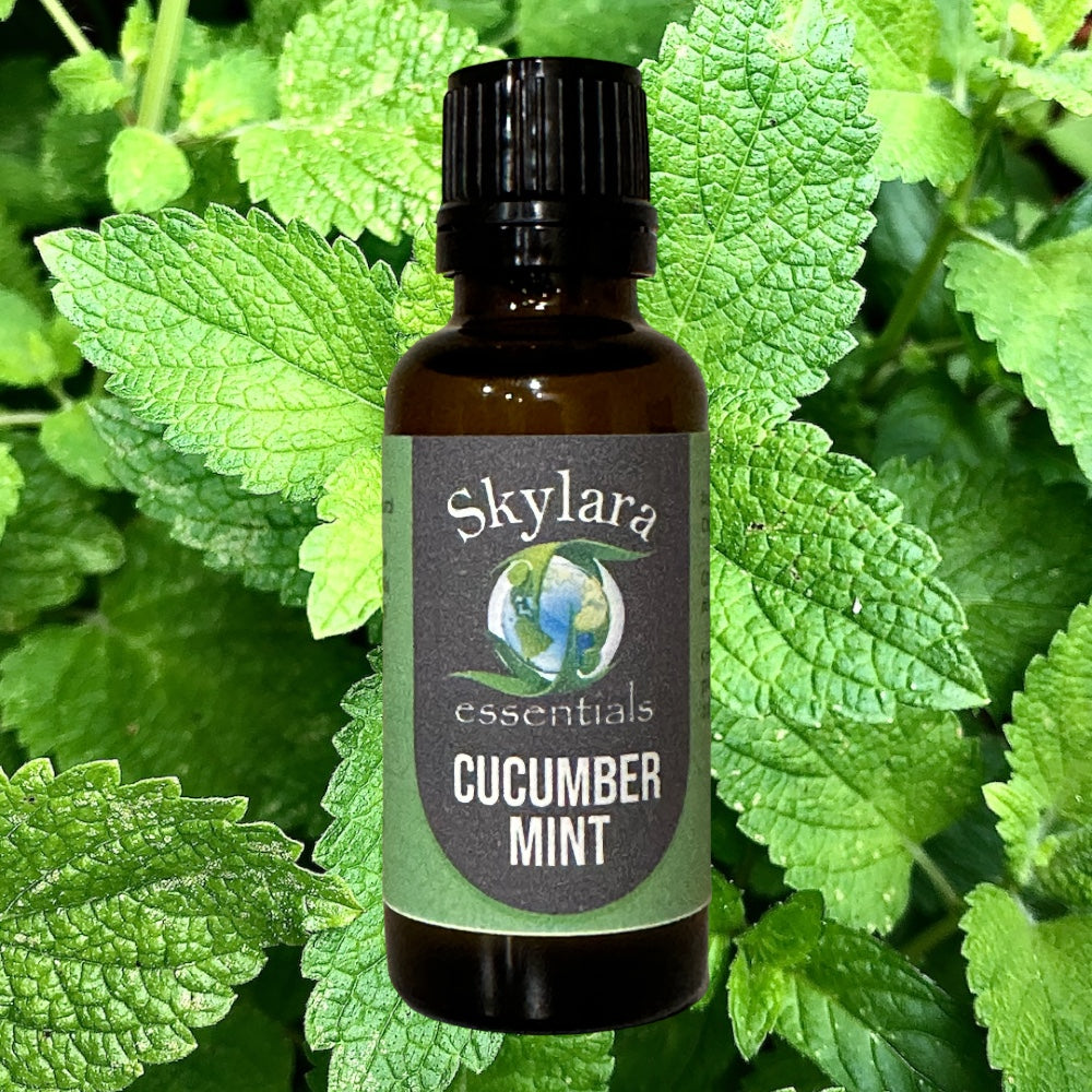 Cucumber Mint Essential Oil Blend