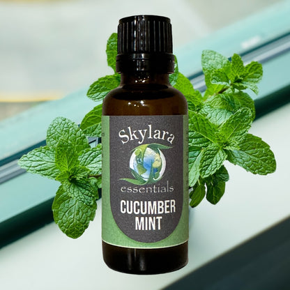 Cucumber Mint Essential Oil Blend