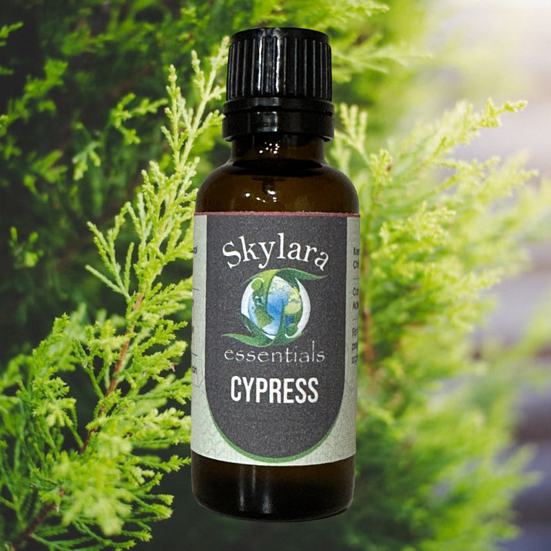 Cypress Essential Oil - Pure Cypress Oil Food Grade