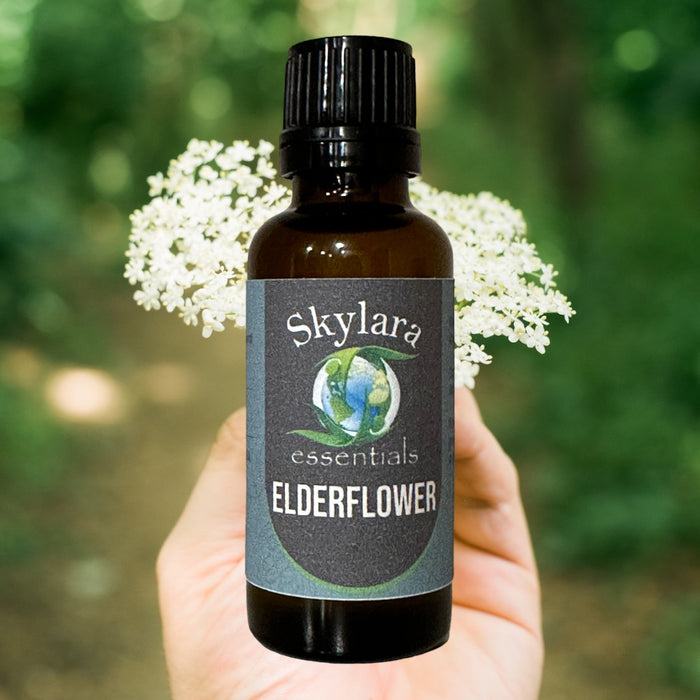 All Natural Elderflower Essential Oil