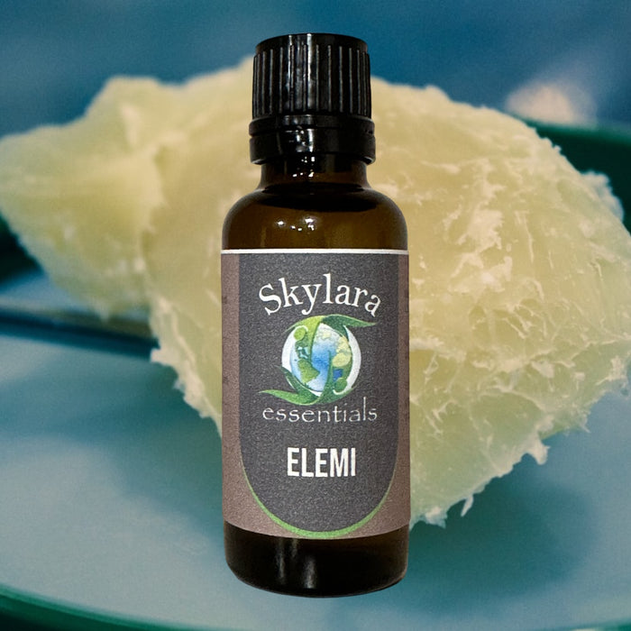 Organic Elemi Essential Oil - Pure and Therapeutic Grade