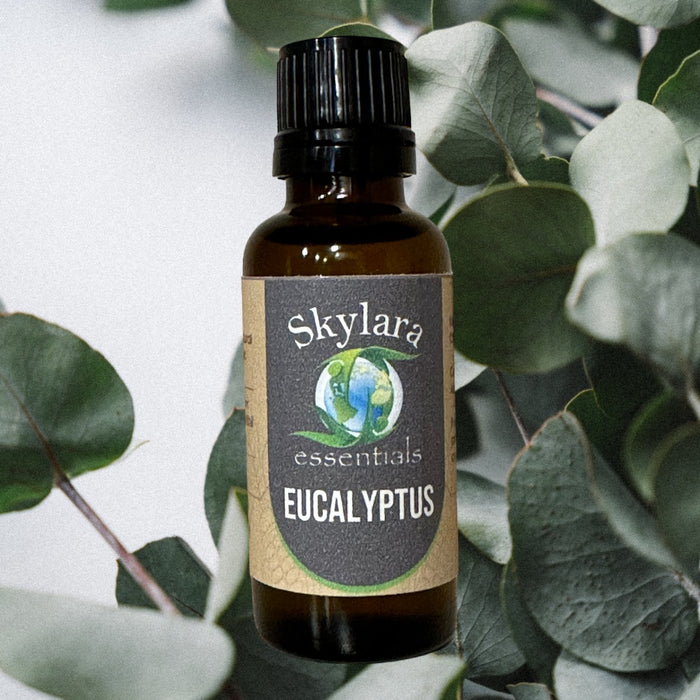 100% Pure Eucalyptus Essential Oil