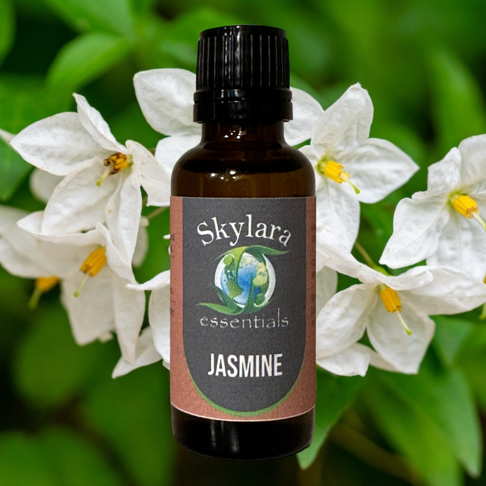 Jasmine Oil -( Jasminum Grandiflorum )- Essential Oil 100% Pure Natural  Undiluted Uncut Therapeutic Grade Oil 0.51 Fl.OZ