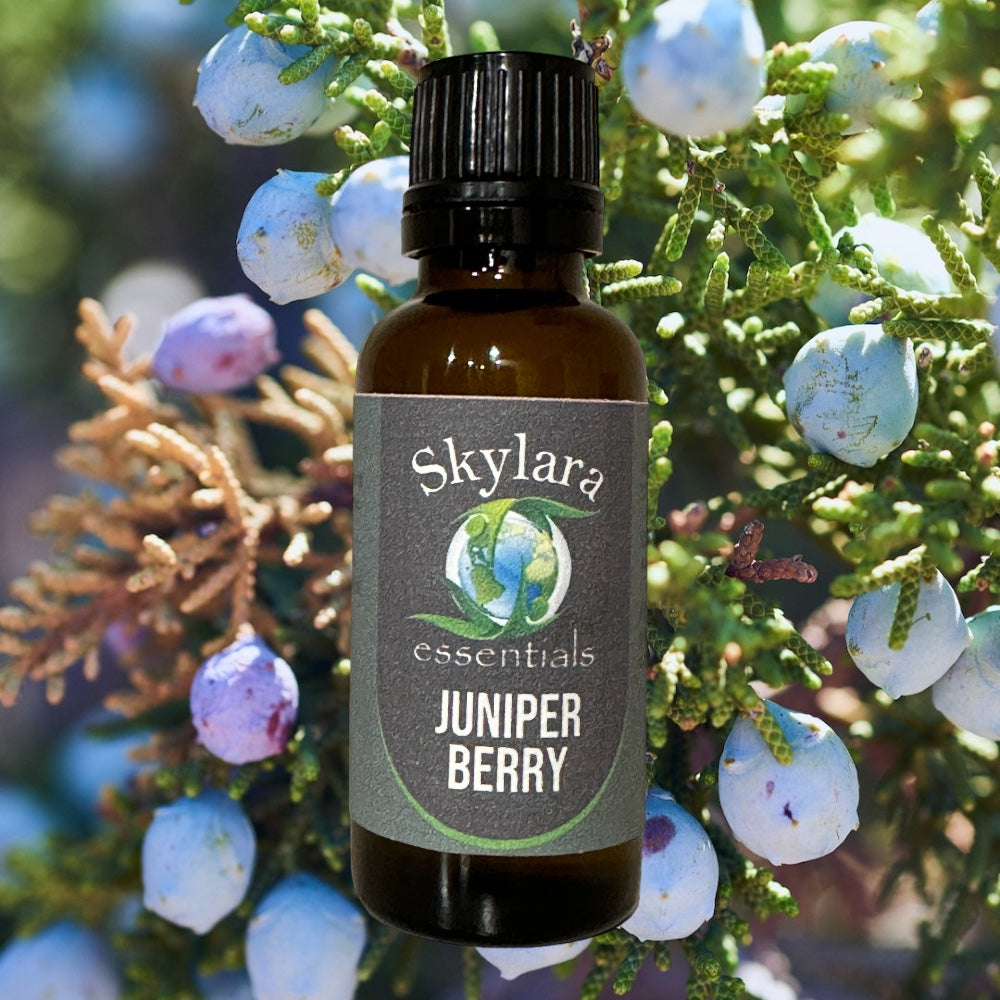 The Aromatherapist Organic Juniper Berry Essential Oil