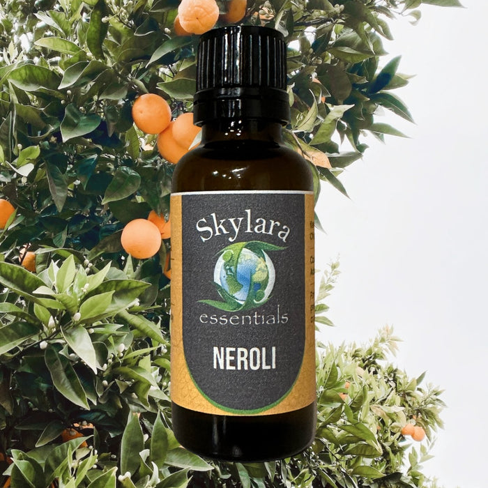 Neroli Essential Oil Egypt (Orange Blossom) 15ml Dropper Bottle, Size: 15ml Euro Dropper Bottle