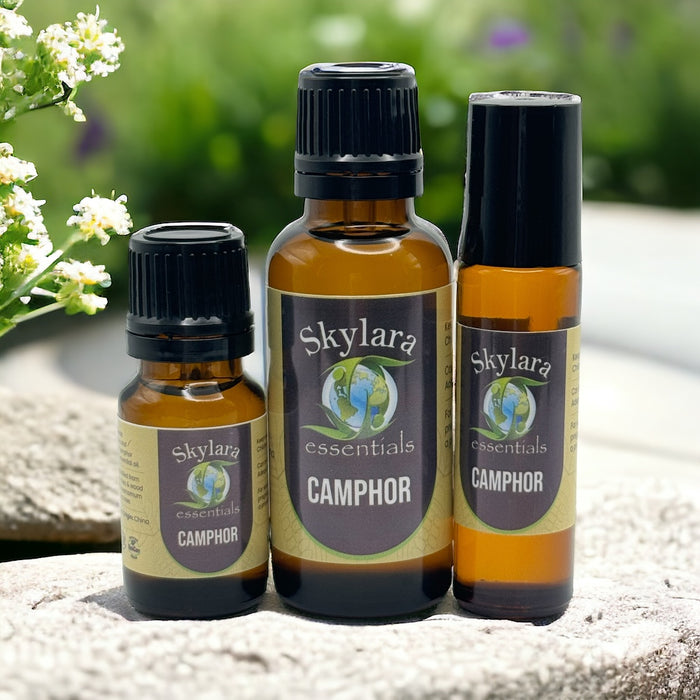 Camphor Essential Oil - Natural and Cooling Aromatherapy