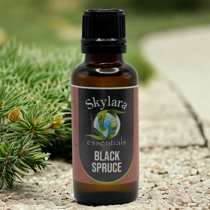 Black Spruce Essential Oil - 100% Pure and Therapeutic Grade