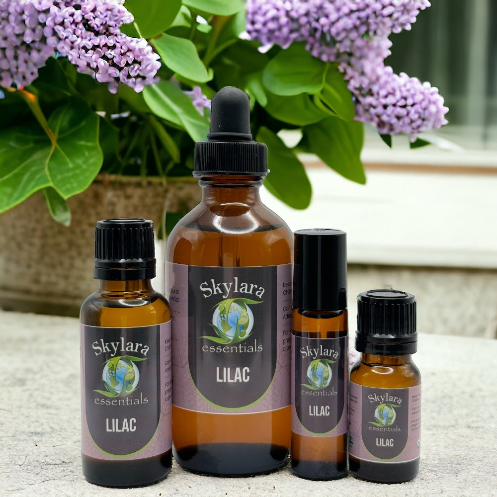 Lilac Essential Oil – Skylara Essentials
