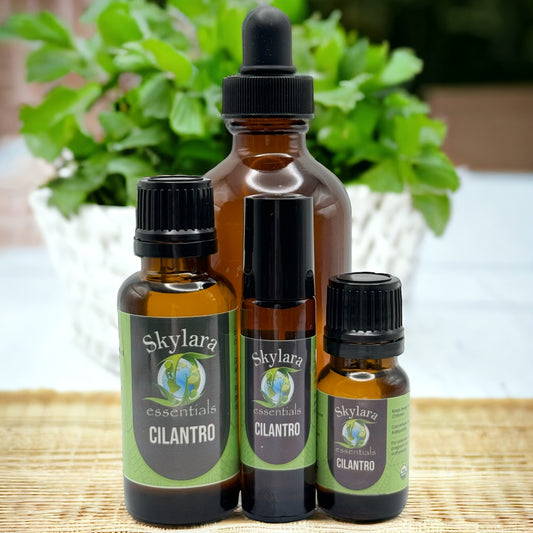 Cilantro Essential Oil