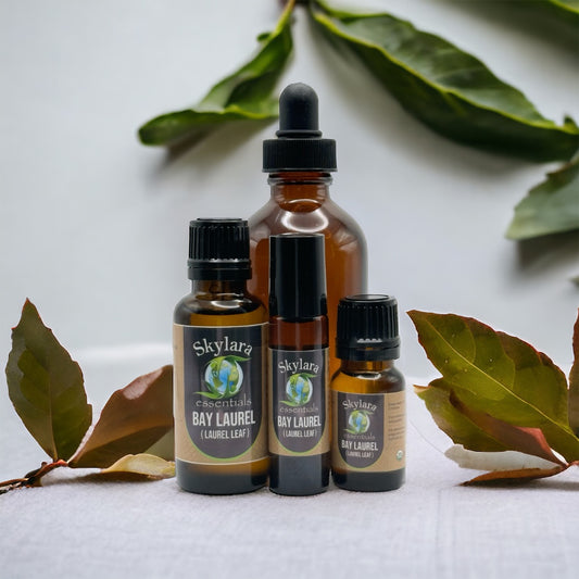 Bay Laurel (Laurel Leaf)  Essential Oil