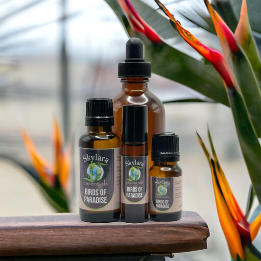 Birds of Paradise Essential Oil Blend