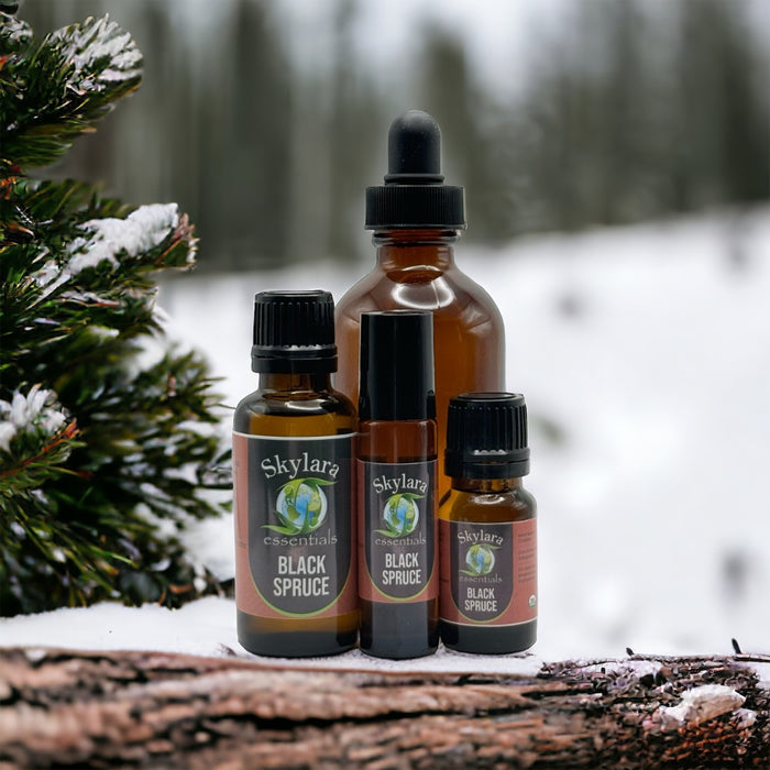 Black Spruce Essential Oil