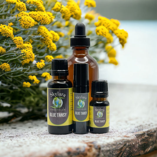 Blue Tansy Essential Oil