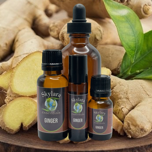 Ginger Essential Oil