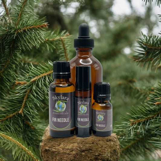 Fir Needle Essential Oil