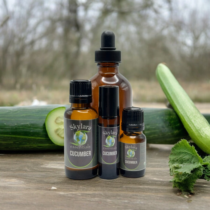Cucumber Essential Oil Organic