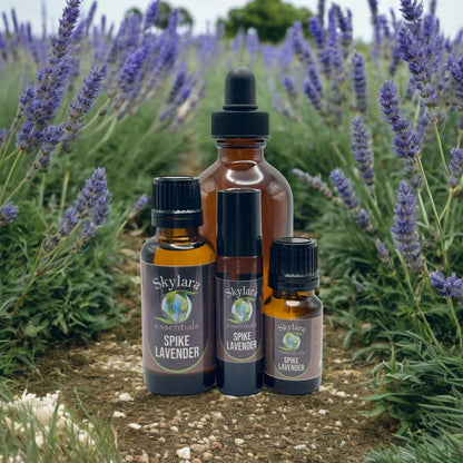 Spike Lavender Essential Oil