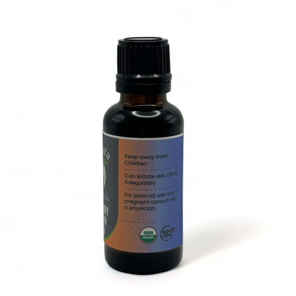 Blueberry Pumpkin Patch Essential Oil Blend