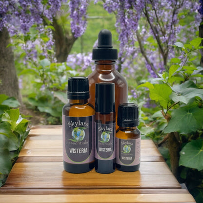 Wisteria Essential Oil