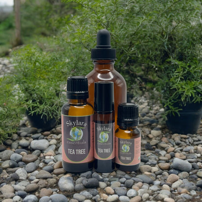 Tea Tree Essential Oil