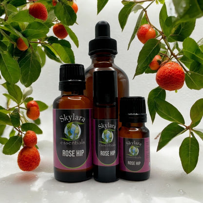 Rose Hip Essential Oil