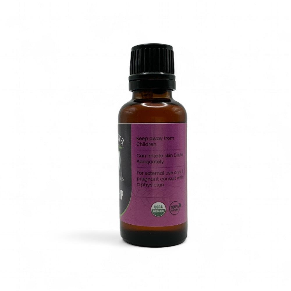 Rose Hip Essential Oil