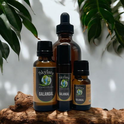 Galangal Essential Oil