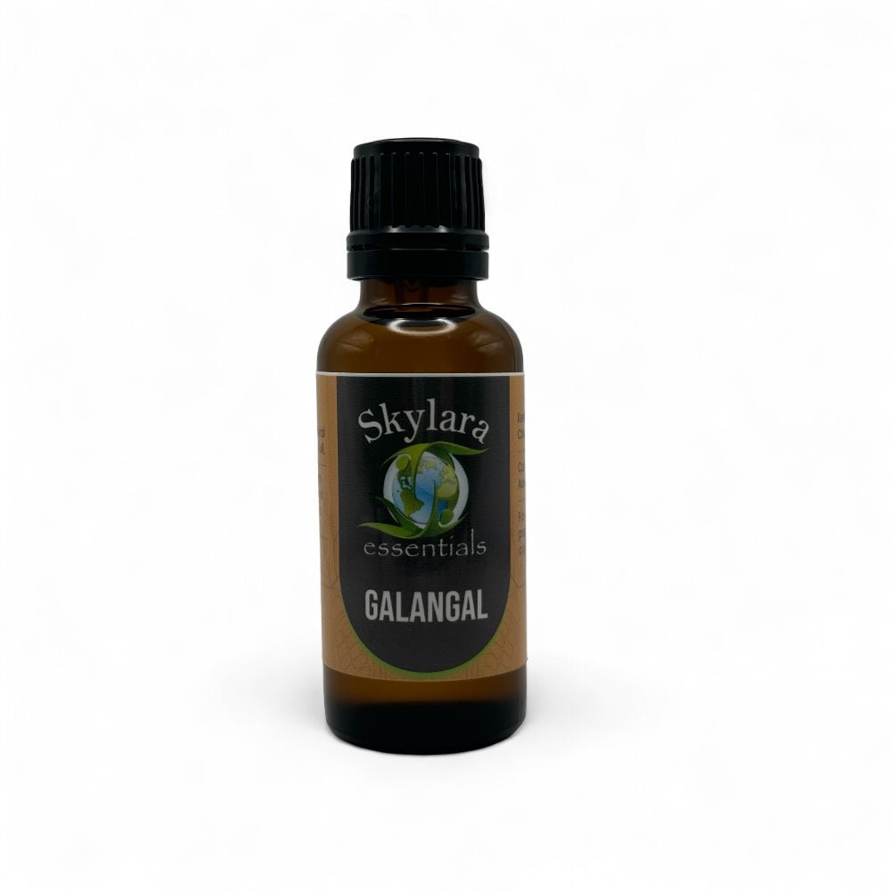 Galangal Essential Oil