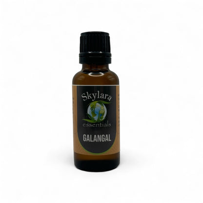 Galangal Essential Oil