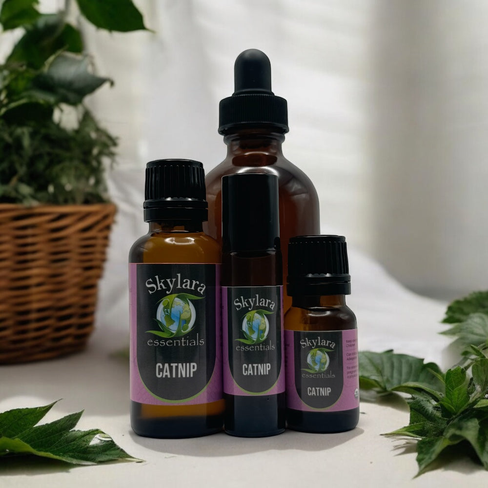 Catnip Essential Oil