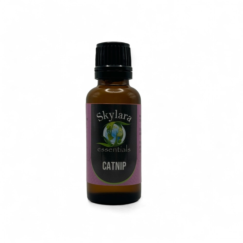 Catnip Essential Oil