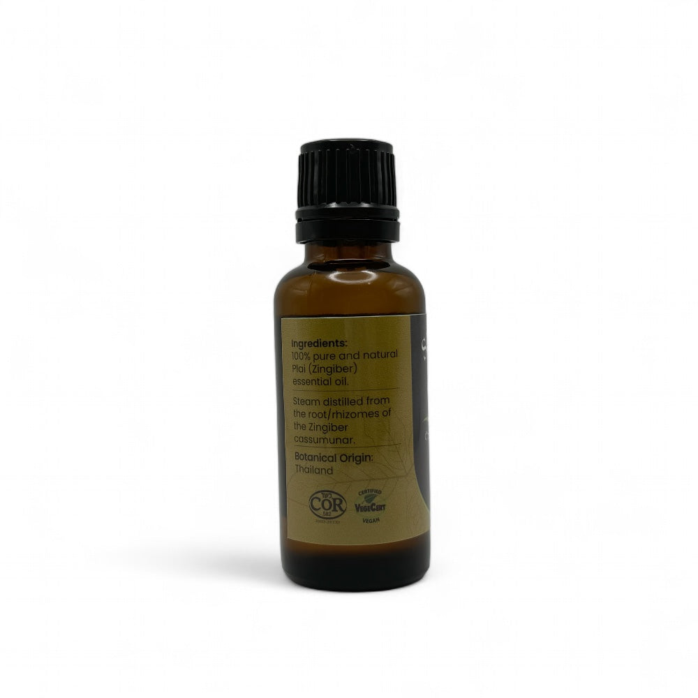 Plai Essential Oil