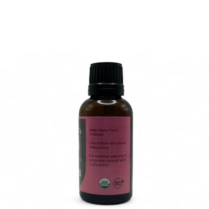 Zedoaria Essential Oil